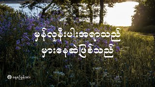 နေ့စဉ်ခွန်အား | ၂၀၂၄ ခုနှစ်၊ နိုဝင်ဘာလ (၆) ရက်