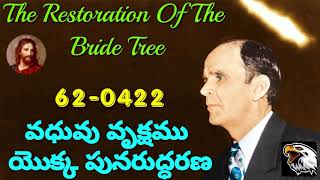 𝟔𝟐-𝟎𝟒𝟐𝟐 వధువు వృక్షము యొక్క పునరుద్దరణ.𝐓𝐡𝐞 𝐑𝐞𝐬𝐭𝐨𝐫𝐚𝐭𝐢𝐨𝐧 𝐎𝐟 𝐓𝐡𝐞 𝐁𝐫𝐢𝐝𝐞 𝐓𝐫𝐞𝐞. 🆅🅶🆁 🆆🅼🅱. 🅦🅘🅛🅛🅘🅐🅜 🅑🅡🅐🅝🅗🅐🅜.