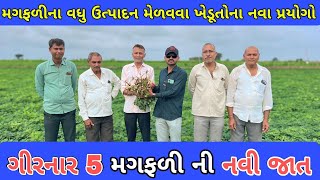 મગફળી ની છેલ્લી માવજત | મગફળીમાં દવા નો છેલ્લો રાઉન્ડ ક્યો કરવો| magfali ni kheti [khedut Mitra]