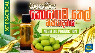 කොහොඹ  තෙල්, Neem oil,.BST Practical,herbal oil, Neam leaf oil,