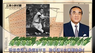 長嶋茂雄、中曽根康弘が住んだ知られざる高級住宅街▼世田谷区上北沢３丁目　肋骨通りの東側を歩く