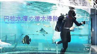 【密着】アトア最大の水槽を掃除してみた！