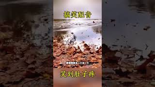 搞笑视频，欢乐一笑，解千愁。||#搞笑[话题]# #必备帆布鞋推荐[话题]# #开心[话题]# #欢乐[话题]##搞笑视频[话题]#搞笑视频