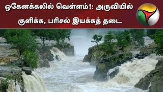 Flood in Hogenakkal falls: Ban for tourists to take bath and Parisal ride