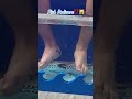 Fish Pedicure⁉️🙀