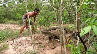 Survival Skills Technology: Amazing Quick Snake Trap Build From Branches & Snake Nest by Jungle HD