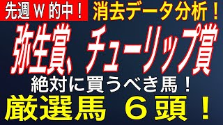 【競馬予想】弥生賞、チューリップ賞 2020 消去データ分析！【厳選馬６頭決定】！絶対に買うべき馬！先週W的中！！