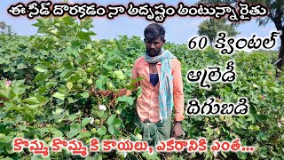 Top cotton seed in India || అధిక దిగుబడి ఇచ్చే పత్తి విత్తనాల రకాలు తెలుసుకోండి