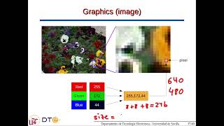 Image encoding fundamentals (bitmaps)