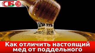 Как отличить настоящий мед от поддельного