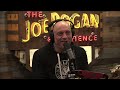 chat gpt4 is insane joe rogan experience