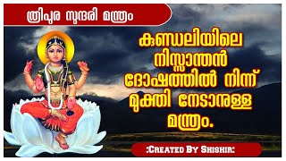 കുണ്ഡലിയിലെ നിസ്സാന്തൻ ദോഷത്തിൽ നിന്ന് മുക്തി നേടാനുള്ള മന്ത്രം.