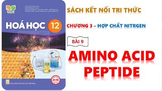 HÓA 12 - KẾT NỐI TRI THỨC - BÀI 9 ANIMO ACICD VÀ PEPTIDE