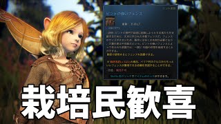 「強いフェンス」を貰える神依頼実装で貢献度が20も浮きます。【黒い砂漠PC】