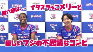 【青猫じゃらし 2024-25】藤倉選手×バルデス選手