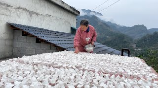 红薯粉第二种吃法，农村80后90后的童年回忆/Sweet potato powder