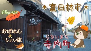 【Vlog#64】富田林じないまち＊一泊二日のんびり一人旅♪