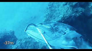 The rock with the big white groupers | Cyclades Spearfishing