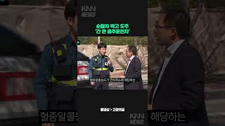 순찰차 박고 도주 '간 큰 음주운전자'