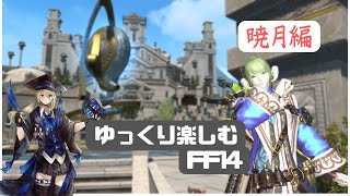 【FF14】6.2前の荷物整理！【ElementalDC】配信用CWLSあり！