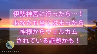 【伊勢神宮】伊勢ツアーでの出来事報告［ハワイ・スピリチュアル・hawaii spiritual］