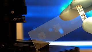 Biochip | Wikipedia audio article