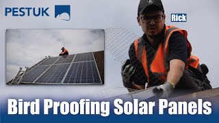 A Day With Pellen | Solar Panel Bird Proofing | Green Energy