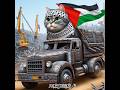 Duniakucing Ai 🇲🇨🇵🇸 Mobil baja #fypyoutube #freepalestine #cats #kucing