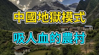 中國農民暴富後被村民當做人肉ATM｜修路反被砸，直播圍堵家｜大衣哥為何逃不出農村地獄？｜中國5億農民的掙扎，善良與貪婪僅一線之隔｜大衣哥 ｜朱之文