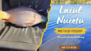 Pescuit de Weekend la Method Feeder pe Lacul Nucetu #fishing #feederromania