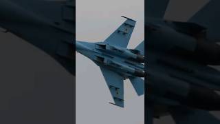 【あの日のウクライナ空軍】Ukrainian Su-27 incredible Maneuver