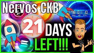 Nervos Network CKB 🚀August 2022 will CHANGE EVERYTHING!🚀🚀🚀