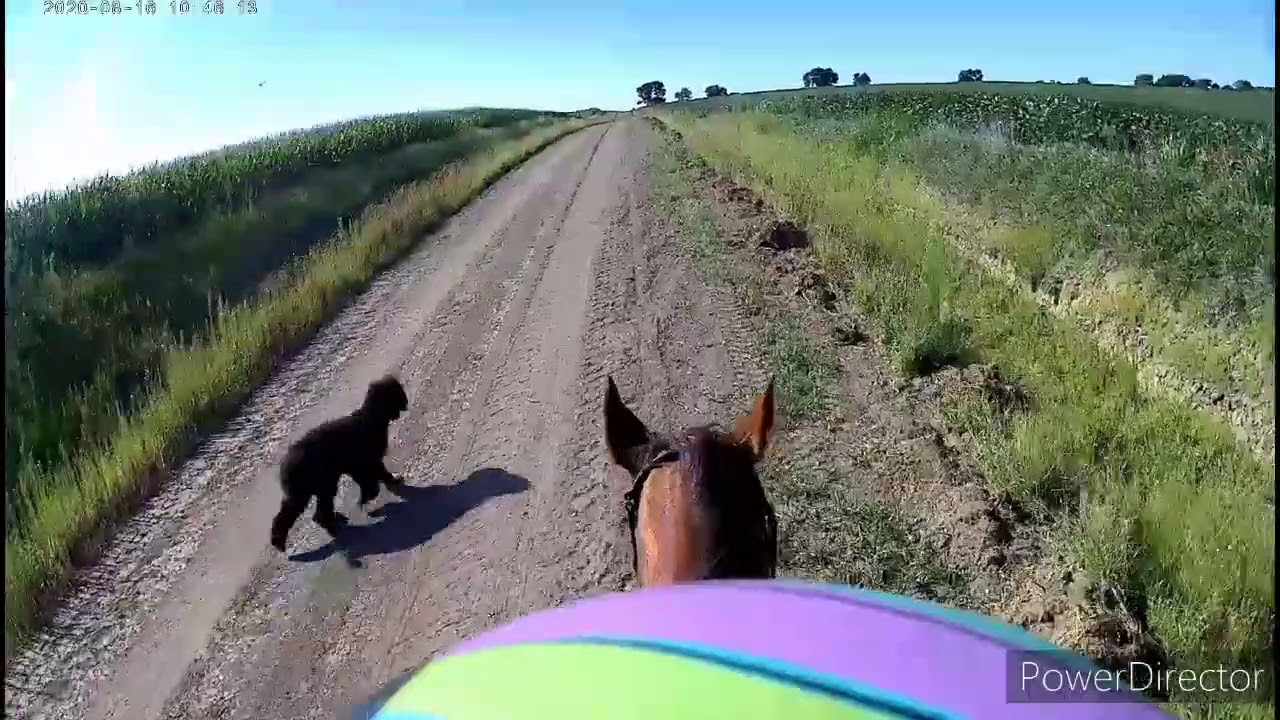 Bareback Riding Part 2 Youtube