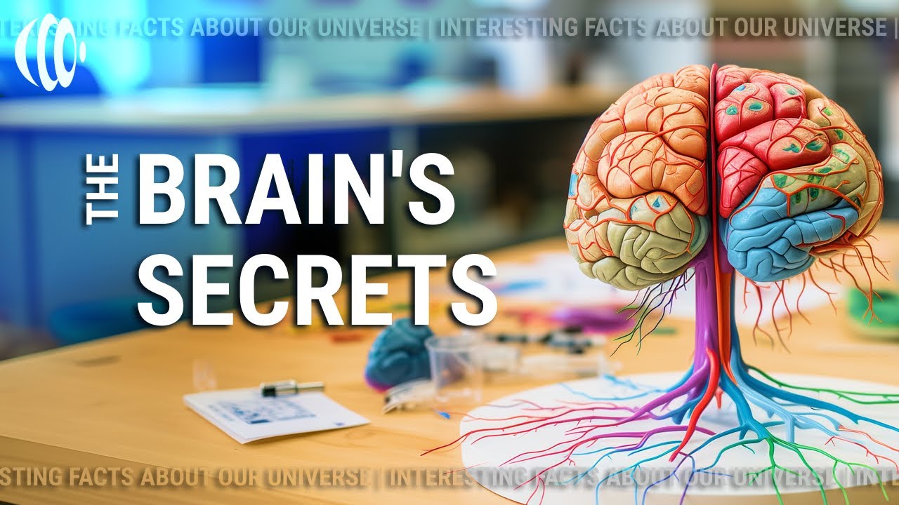 Quick Facts: The Brain's Secrets - Exploring Neuroscience's Greatest ...