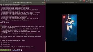 Flutter FlatButton Simple Example