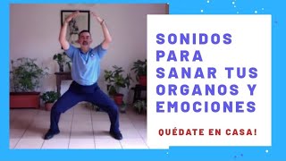 Como Sanar tus EMOCIONES y Mejorar Tu SALUD usando Qi Gong