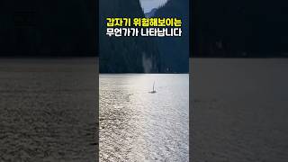 귀여운 줄만 알았던 바다의 최상위 포식자