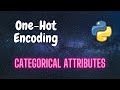 How to perform One Hot Encoding for Categorical Attributes | Python