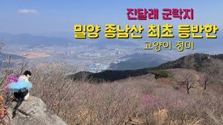 쩡남매의263번째 이야기~~진달래의 명산 종남산에서의 놀라운 일