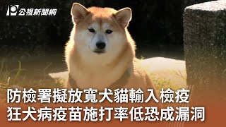 防檢署擬放寬犬貓輸入檢疫 狂犬病疫苗施打率低恐成漏洞｜20231119 公視中晝新聞