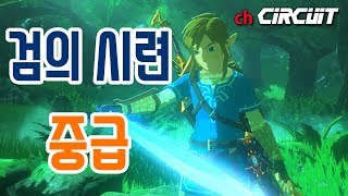 [서킷] 내 맘대로 검의 시련 (중급) ( 【DLC】 젤다의 전설 : 야생의 숨결 한글판)