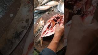 Amazing palla fish cutting skills #fish #shorts #shortvideo