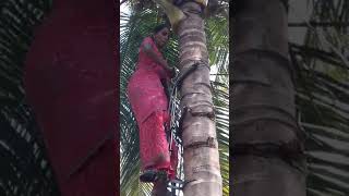 Coconut tree climbing machine | kovai : 8110095986.