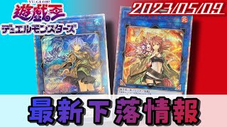 【遊戯王】 2023年5月9日　最新下落情報 20th　DUELIST NEXUS プリシク大暴落　灰流うらら　清冽の水霊使いエリア   増殖するＧ