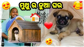 ମୁଥୁ ର ନୁଆ ଘର ଦେଖିକି ମୁଥୁ ଖୁସ୍ 😍 / Odia bhaina vlogs / Odia vlogs