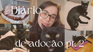 diário de adoção pt. 2 | deu quase tudo errado e fui parar na UPA 🐈‍⬛