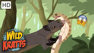Wild Kratts | Cobra VENOM|Wildlife