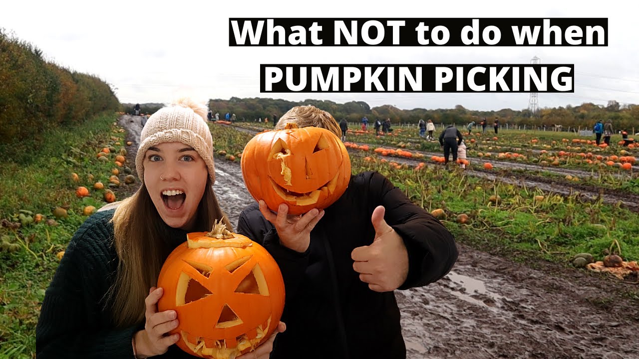 Autumn Vlog Pumpkin Picking 亞 Youtube