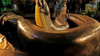 10 Mythical Creatures You Won't Believe Actually Existed