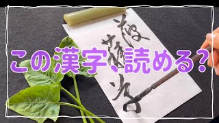 【書道】この漢字は、何と読むでしょうか? （菠薐草）Japanese calligraphy